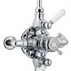 Swadling Invincible Double Exposed Shower Mixer with Deluge Head and Bath Spout