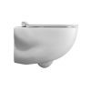Crosswater Wild Rimless Wall Hung WC - WI6116CW
