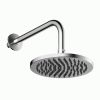 Britton Hoxton Shower Head with Wall Mounted Arm
