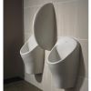 Armitage Shanks Aridian Waterless Urinal - S632101