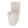 The White Space Lab Rimless Close Coupled WC With Closed Back 