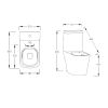 The White Space Anon Close Coupled Toilet Open Back with Soft Close Seat