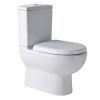 Essentials Pecos Back To Wall Close Coupled Toilet