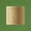 Amara Square Dual Flush Button in Brushed Brass
