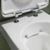 Geberit Selnova Replacement Soft Close Toilet Seat with Quick Release Hinges in White - 500.335.01.1