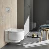 Geberit Sigma50 Dual Flush Plate with Stainless Steel Buttons