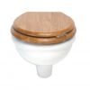 Imperial Bergier Wall Mounted Toilet - BE1WH01030
